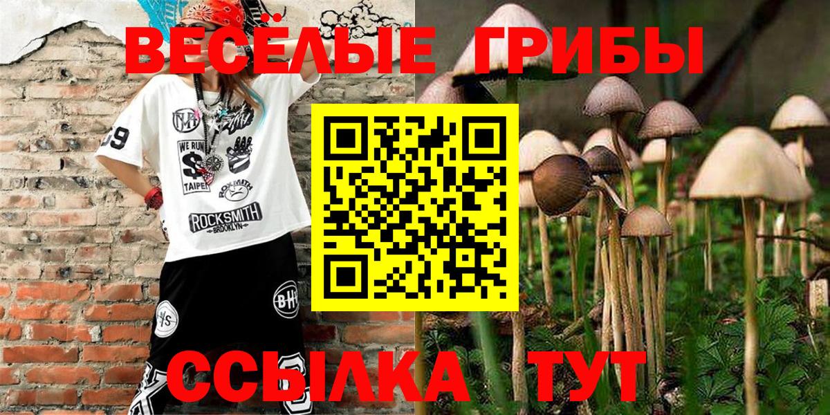 Псилоцибиновые грибы Psilocybine cubensis Тельмана