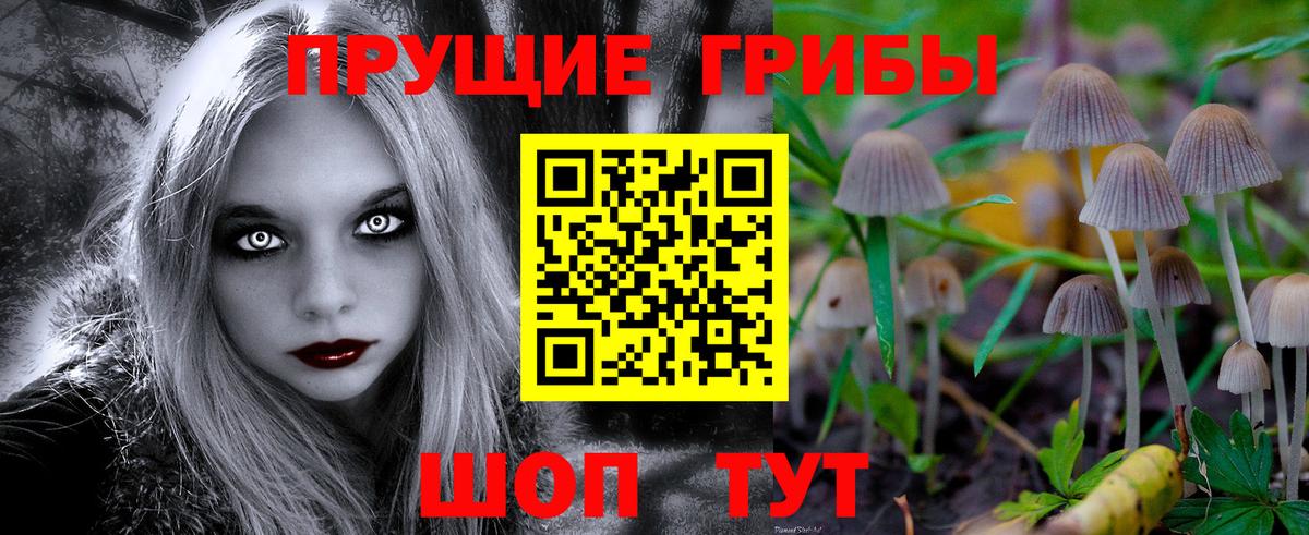Псилоцибиновые грибы ЛСД  Вход с VPN  сколько стоит  Тельмана 